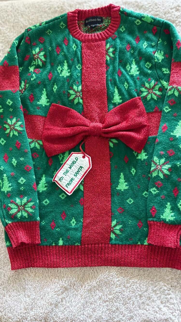 Blizzard Bay Christmas Sweater Womens Gift Bow Santa Ugly Holiday Green Red M